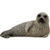 Collecta - Col88681 - Seal Largha - Taglia S
