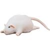 Generic Nuovo peluche topo chonky jumbo grasso gigante, peluche topo chonky, topi morbidi imbottiti in peluche, per decorazione della casa e comfort in ufficio (C, altezza 70CM)