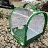 Generisch Set di allevamento di farfalle per bambini/adulti | Farfalla domestica | Insetto e Farfalla Habitat Gabbia di protezione per terrario | Allevamento cingolato dai 3 anni in su, verde