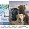 Figured'Art Dipingere con i Numeri con Telaio - Paint by Numbers Trio di Labrador, Passatempo per Adulti, Kit Completo, Hobby Creativi - Quadri fai da te 40x50cm Tela Già Incorniciata