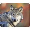 Fabulous Tappetino per mouse in similpelle con testa di lupo, vita animale, natura selvaggia, predatore (22 x 18 cm)