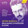 HANSSLER CLASSIC Peter Ruzicka: Benjamin Symphonie; Elegie