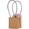 C.X.Y. 20 Pezzi Wedding Bag Cartoncino Kraft con Manica Plastica Impermeabile Porta Vaso Piantina Fiore Regalo (13 * 12.5 * 15+21cm)