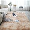 YSPZDQ Tappeto Peloso Camera da Letto, Tappeto Morbido Salotto Shaggy Moderno, Tappeto Pelo Lungo Lavabile, Tappeto Scendiletto Camera Da Letto per Soggiorno Cameretta, Tappetino Antiscivolo(R,60 x 120 cm)