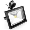 ALPHA DIMA ProDeals(TM) Faro Faretto 30W LED Proiettore esterno con sensore di movimento Riflettori bianco freddo nero argento (30w bianco freddo)