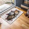 JEDTAKCT Zerbino Con Gatto Carino Cuore, Zerbino Di Benvenuto Animale Disegnato A Mano Per Esterni Ingresso Interno, Antiscivolo Tappeto Da Decorazioni Bianco Per Casa Porta D'Ingresso, 50X80Cm
