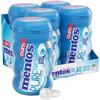 Mentos Gum Big Bottle Curvy, Pure Fresh Mint, 50 Count (Pack Of 4)