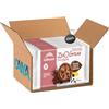 CAIYA Galbusera ZeroGrano Frollini con Cacao e Gocce di Cioccolato, Senza Glutine e Lattosio (Gluten & Lactose Free) 220g [CAIYA® BOX da 8 Confezioni]