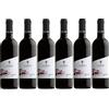 Cantina Aldeno Confezione 6 bottiglie LAGREIN Bio Vegan | Vino Rosso Trentino DOC | Cantina Aldeno Linea Bio Vegan (Lagrein)