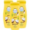 Leocrema Crema Corpo Idratante al Cocco 250 ml - Idratazione Intensa 72H, Assorbimento Rapido, 95% Ingredienti Origine Naturale, Pelle Morbida e Profumata, Crema Fluida Tutti i Tipi di Pelle (3)
