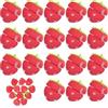 Generisch Strawberry Heatless Curlers, Strawberry Hair Rollers, Soft Sponge Foam Curling Tools for Women, Overnight Curlers for Medium Long Shorthair, No Heat Styling Rollers (18 pezzi, One S)