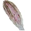 Generico Coda di cavallo elastica con dreadlock, extension per capelli stile boho con perline, facile da applicare in un minuto grazie all'elastico, leggera, disponibile in diversi colori (rosa)