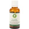 R V Essential Olio essenziale canfora | Cinnamomum Camphora | Per Diffusore | Per capelli | 100% naturale puro | Distillato a vapore | Grade terapeutico | Camphor Essential Oil | 100ml | 3.38oz By R V Essential