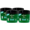 FEI FAN Maschera Biologica DELICATA Per Capelli Normali e Fini. Con Stevia, Avena, Semi Di Lino e Aloe Vera. Senza Siliconi, Coloranti e Oli Minerali 200ml (4 Unità)