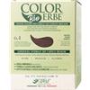 Colorerbe Tintura COLOR ERBE Bio Biondo Scuro Ramato (6.4)