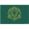 Pyramid International Wizarding World - Harry Potter - Paillasson - Serpentard 45x75cm