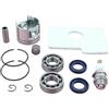 LIWaaGe Adatto for MS180 018 Motosega Pistone Motore Albero Motore Paraolio Cuscinetto Filtro Kit Pezzo di Ricambio 38 Mm