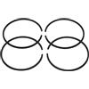 UYTGFO Misura for Husqvarna 61 365 261 262 162 165 265 for Jonsered 625 630 motosega pezzo di ricambio 48mm x 1,5mm 4 pezzi fasce elastiche