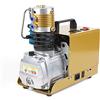 Futchoy Automatico Compressore d'aria Pompa 4500psi 300Bar Elettrico Ad Alta Pressione Compressore Ad Aria PCP Pompa Ad Alta Pressione Per Automobile Immersione Bottiglia Industriale