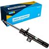 Bilstein 22-197689 Ammortizzatore