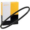 Continental CONTITECH AVX13X2100 Cinghia trapezoidale