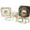 Dr. Hessel's KIT GRUPPO TERMICO PIAGGIO SFERA ZIP GILERA TYPHOON DR D.48 IN GHISA KT00086
