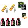 Generico KIT TAGLIANDO CANDELA NGK FILTRO OLIO ARIA HIFLO + OLIO MOTORE MOTUL COMPATIBILE CON Triumph Bonneville 800 T100 2002 2004