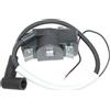 ICOOYO Bobina di accensione per Wacker Neuson WM80 WM80C BS30 BS45Y BS50 BS500 BS500S BS50-2i BS50-oi BS60 BS60Y BS65Y BS70 BS105Y BS600 BS700 BS60-2i BS70-2i BS70-2i 600-oi BS700-oi BS65-V BS650 BH22 BH23