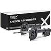 RIDEX 854S1360 2x Ammortizzatore Anteriore Anteriore Destra Anteriore Sinistra Compatibilità con CITROËN C4 Picasso I UD