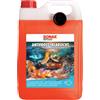 SONAX Antigelo + Trasparenza fino a -18 °C Sweet Home (5 litri) pulitore per vetri veloce, senza striature ed efficace per l'inverno | Art. 01365050