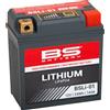 BS Battery Batteria agli ioni di litio - BSLI-01
