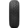 RIKEN 205/60 R17 93H Invernale Auto
