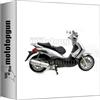 MOTOTOPGUN giannelli scarico omologato nocat maxi oval alluminio compatibile con piaggio beverly cruiser 500 2005 2006 2007 2008 2009 2010 mototopgun