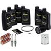 GZM KIT TAGLIANDO COMPATIBILE PER MODELLI HARLEY SOFTAIL DYNA TOURING CANDELE CHAMPION CAMBIO OLIO MOTORE PRIMARIA TRASMISSIONE CAMBIO 20w50 minerale FILTRO