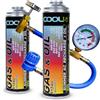 Cool5 Kit Completo AC 2 in 1 (2 lattine 2 in 1 290 g R134a Auto 1995-2016 + Tubo)