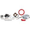 Generico KIT ACCENSIONE ELETTRONICA POWER CICLOMOTORI COMPATIBILE CON PIAGGIO CIAO BRAVO GRILLO SI 50-5517192