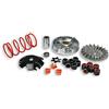 Malossi 61087 - Variatore Multivar 2000 MHR aluminio Yamaha - MINARELLI 5115823