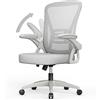 naspaluro Sedia Ufficio Ergonomica, Poltrona Ufficio con Supporto Lombare Regolabile, Grigio