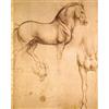 1art1 Leonardo da Vinci Poster Stampa Artistica su Tela Studio De Cavallo, 1493-1494 Quadro da Parete sulla Barella | Murale XXL | Immagine 50x40 cm