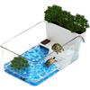 Generico Serbatoio Per Tartarughe D'acqua Trasparente Con Pentola Di Fiori & Spot Di Arrampicata 32.7x19.3x12.2cm Contenitore Per Alimentazione Tartarughe Palustri Terrario Per Rettili Animali