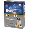 SLAIS Srl Ever Pipette Antiparassitario Cani - Spot-On Contro Pulci, Zecche, Flebotomi e Zanzare - Protezione Completa - Fialette Antipulci Cane (40-60 KG)