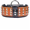 Bestia '' Star '' Collare per Cani in Vera Pelle con Borchie