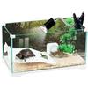 Generico Aquariumline tartarughiera/teca in vetro per rettili, tartarughe d'acqua e di terra cm42x23x22h capacità 23 litri