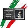 La Farfalla di Legno LaFarfallaDiLegno.it Lapide commemorativa per Cane e Gatto, Memoriale Personalizzabile in Pietra, Lapide Cane Personalizzata per Esterno con Foto del Tuo Animale Domestico (Rettangolare 32x17cm)