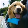 Generico Poggiamento per finestrino auto per cani, supporto per collo e mascella per animali domestici con morbido cuscino in schiuma, protegge il mento e il collo dell'animale (1PC)