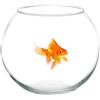 OISE ART STORE Trade Shop - Ampolla Boccia per Pesci in Vetro 30 Cm Acquario Pesce Rosso Centrotavola