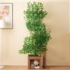 Rosebibi Tiragraffi alto 190 cm a forma di albero con 4 piattaforme e fori per gatti - Materiale sicuro per animali domestici, foglie rimovibili, impermeabile e resistente all'umidità, adatto per gatti (verde)