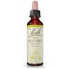Bach Original Bach-Blüten Nr. 21 Mustard Wilder Senf Tropfen, 20 ml Soluzione