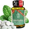 denttabs 250 pastiglie per spazzolini da denti in vetro xxl, gusto menta e cannella, vetro da riempire ripetutamente. (menta senza fluoruro)