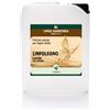 New Chemical LINFOLEGNO LUCIDO NEW CHEMICAL |Cera Manutenzione per Pavimenti in Parquet Oliati INTERNI (1 e 5 Litri) (5 Litri)